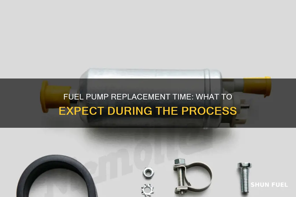 how long to replace a fuel pump