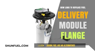 Fuel Delivery Module Flange Replacement: Time to Act?