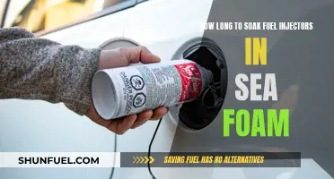 Soaking Fuel Injectors: Sea Foam Treatment Time