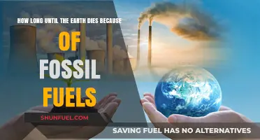 Fossil Fuels' Impact: Earth's Survival Timeline and Urgent Solutions