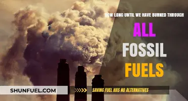 When Will Fossil Fuels Run Out? A Timeline of Depletion