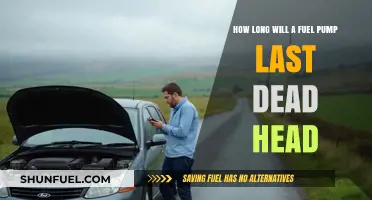 Fuel Pump Lifespan: Dead-Heading Impact and Maintenance Tips