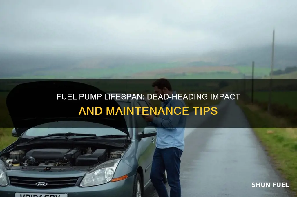 how long will a fuel pump last dead head