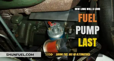 Loud Fuel Pump Lifespan: How Long Before Replacement is Necessary?