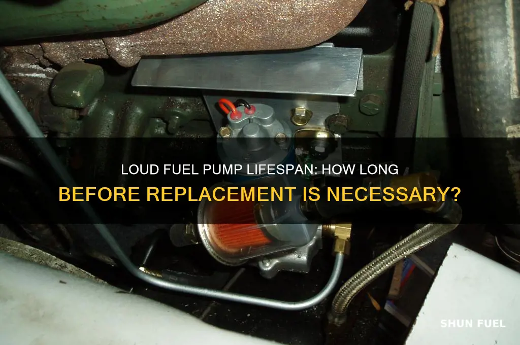 how long will a loud fuel pump last