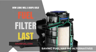 Fuel Filter Longevity: Napa Gold's Lifespan Explored