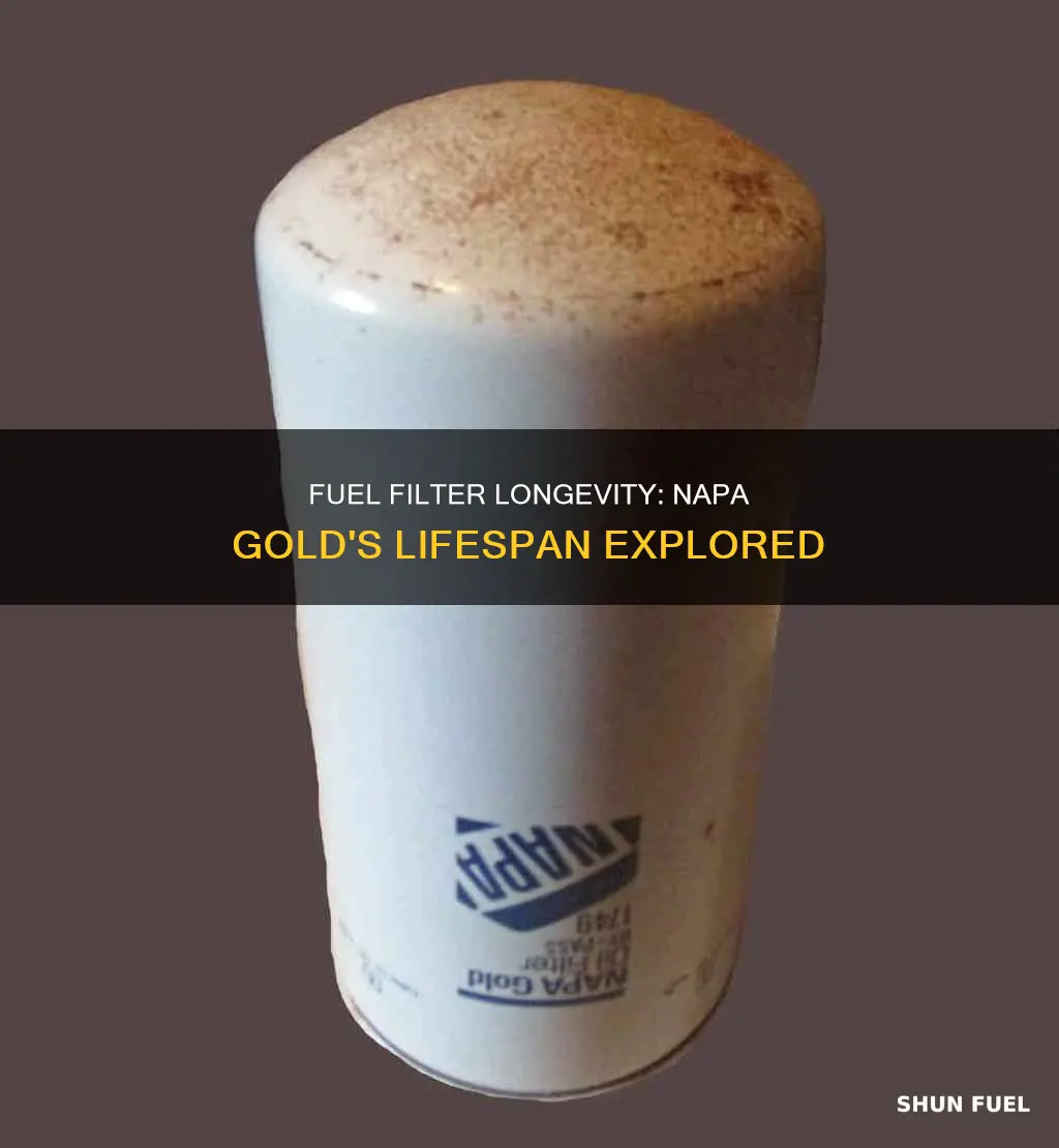 how long will a napa gold fuel filter last