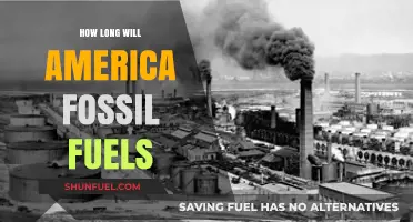 America's Fossil Fuel Dependence: How Long Can It Last?
