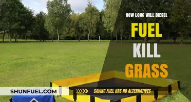 Diesel Fuel: Grass Killer or Lawn Savior?