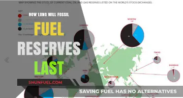 Fossil Fuel Reserves: Estimating Their Remaining Lifespan and Future Outlook