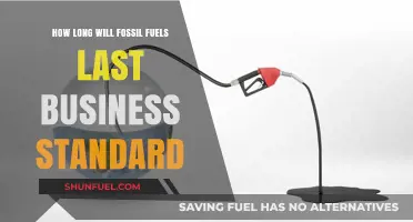 Fossil Fuels' Finite Future: Business Standard's Sustainability Outlook