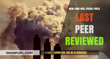 Peer-Reviewed Insights: Estimating the Remaining Lifespan of Fossil Fuels