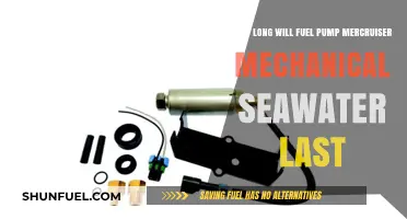 Mercruiser Mechanical Seawater Fuel Pump Lifespan: What to Expect