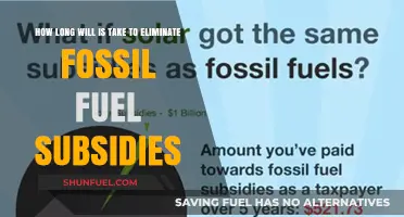 Ending Fossil Fuel Subsidies: Timeline for a Sustainable Energy Transition