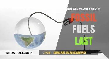 Fossil Fuels Countdown: Predicting the End of Our Energy Reserves