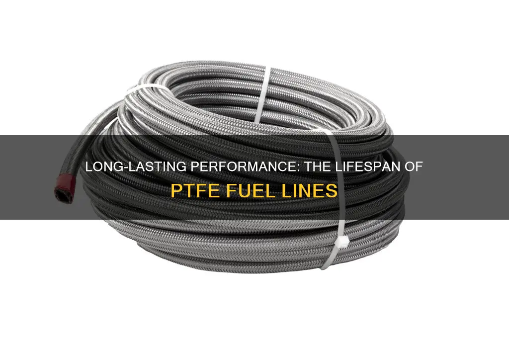 how long with ptfe fuel line last