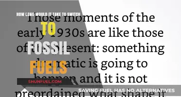 Transitioning to Fossil Fuels: Estimating the Timeline for Energy Shift