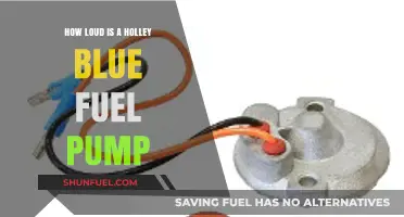 Holley Blue Fuel Pump Noise Level: How Loud Is It?