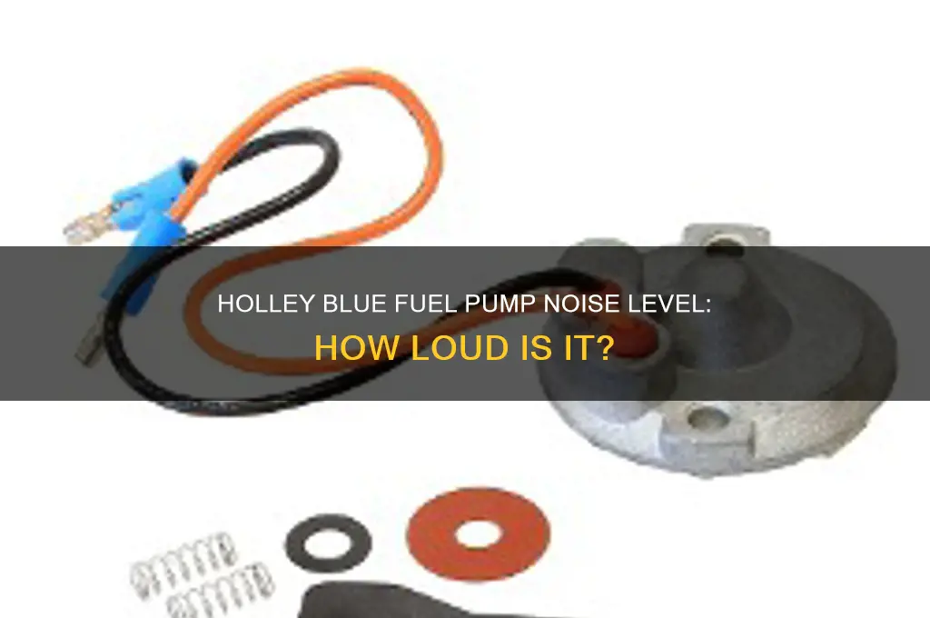 how loud is a holley blue fuel pump