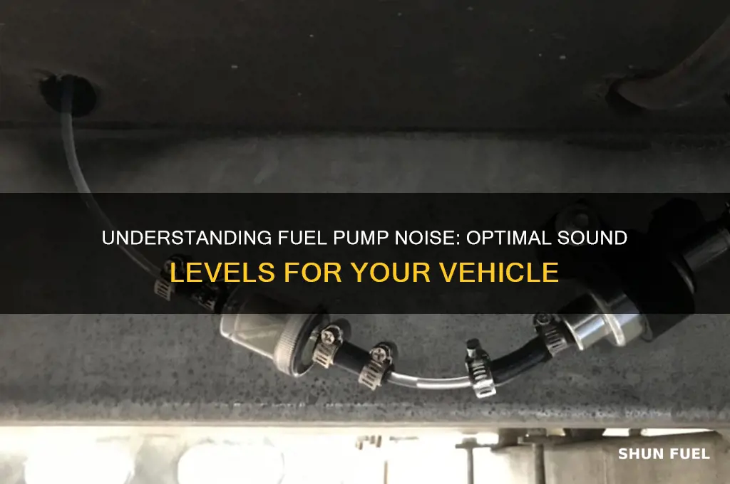 how loud should a fuel pump be