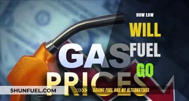 How Low Will Fuel Prices Drop? Analyzing the Future of Gas Costs