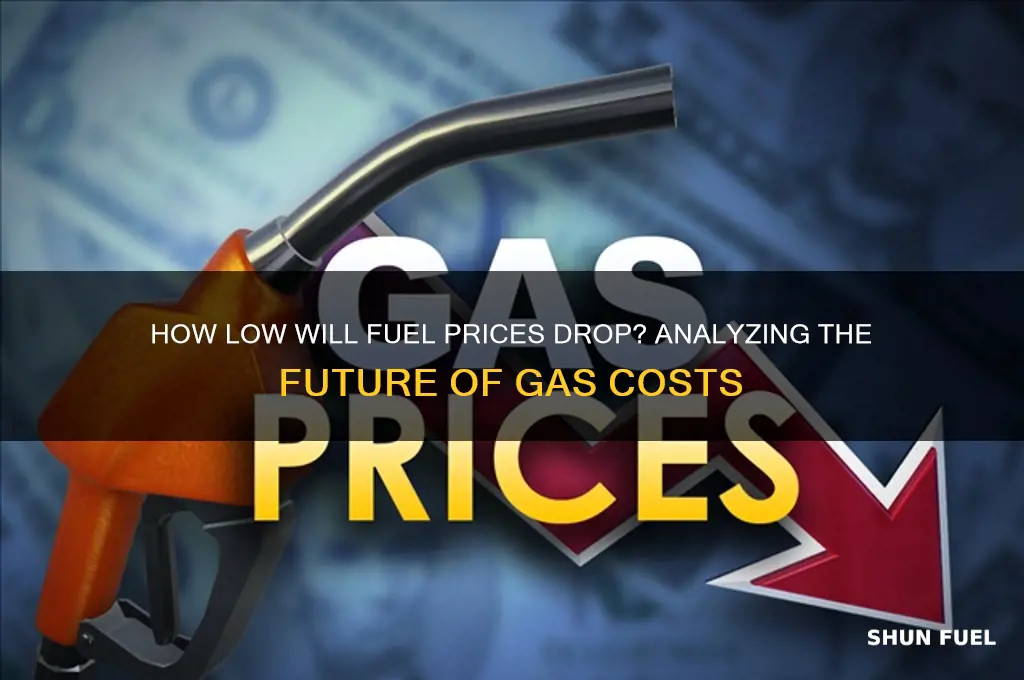 how low will fuel go