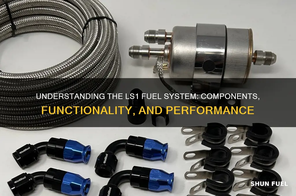 how ls1 fuel system works