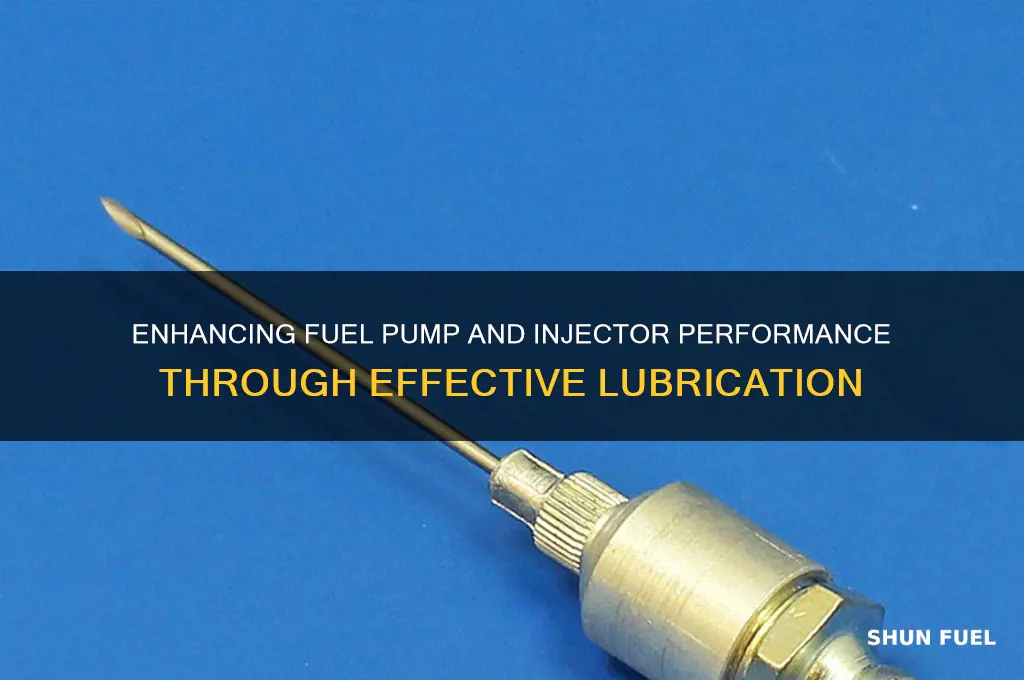 how lubrication in fuel pump and fuel injector