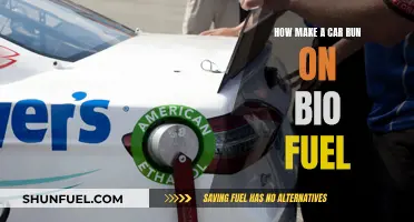 Switching to Biofuel: A Guide for Your Car