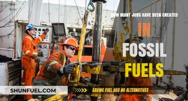 Fossil Fuel Industry Job Creation: Trends and Economic Impact