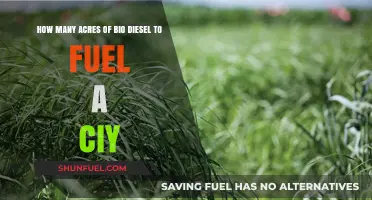 Biofuel Power: Acres Needed to Fuel a City