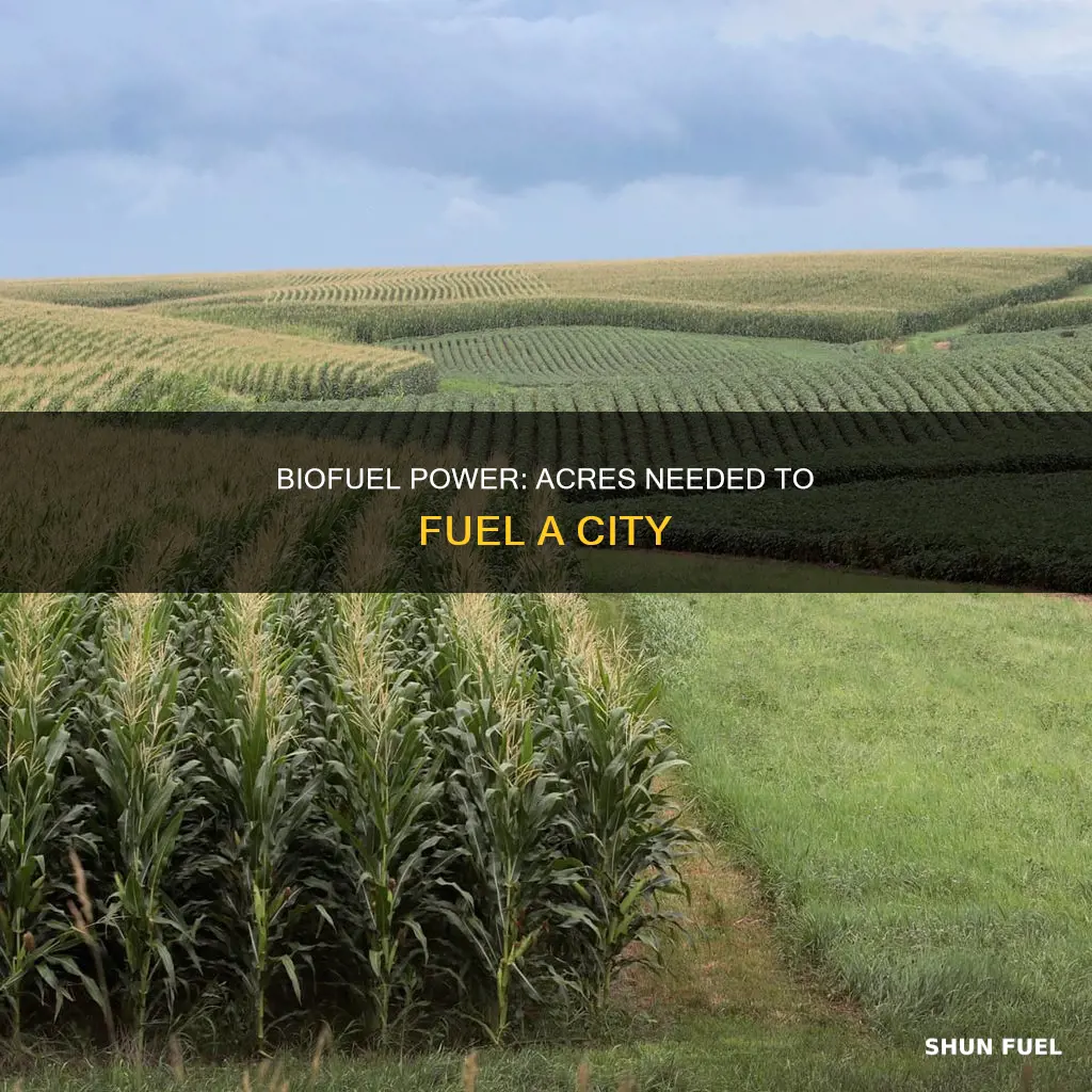 how many acres of bio diesel to fuel a ciy