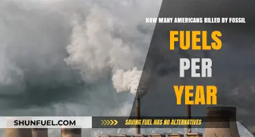Fossil Fuels' Deadly Impact: Annual American Lives Lost Revealed