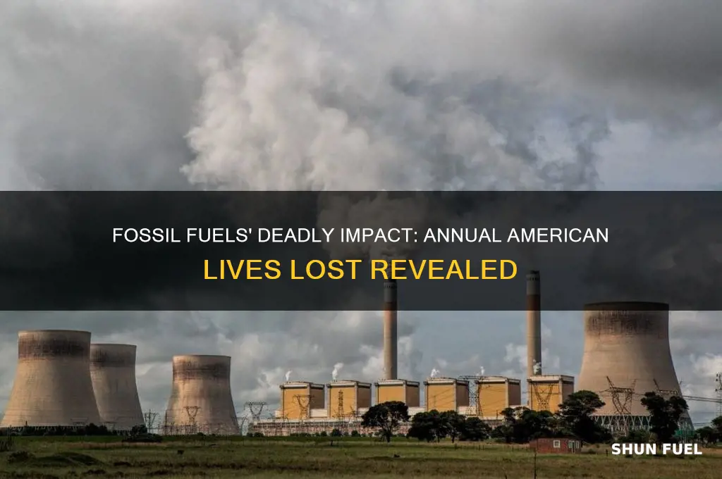 how many americans killed by fossil fuels per year