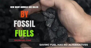 Fossil Fuels' Deadly Impact: Counting Animal Lives Lost to Pollution