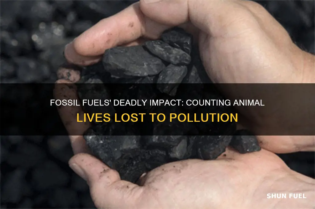 how many animals are killed by fossil fuels