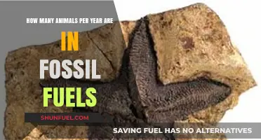 The Hidden Cost: Animals Lost Annually to Fossil Fuel Industry