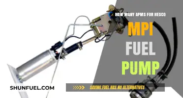 Understanding APM Requirements for HESCO MPI Fuel Pump Efficiency