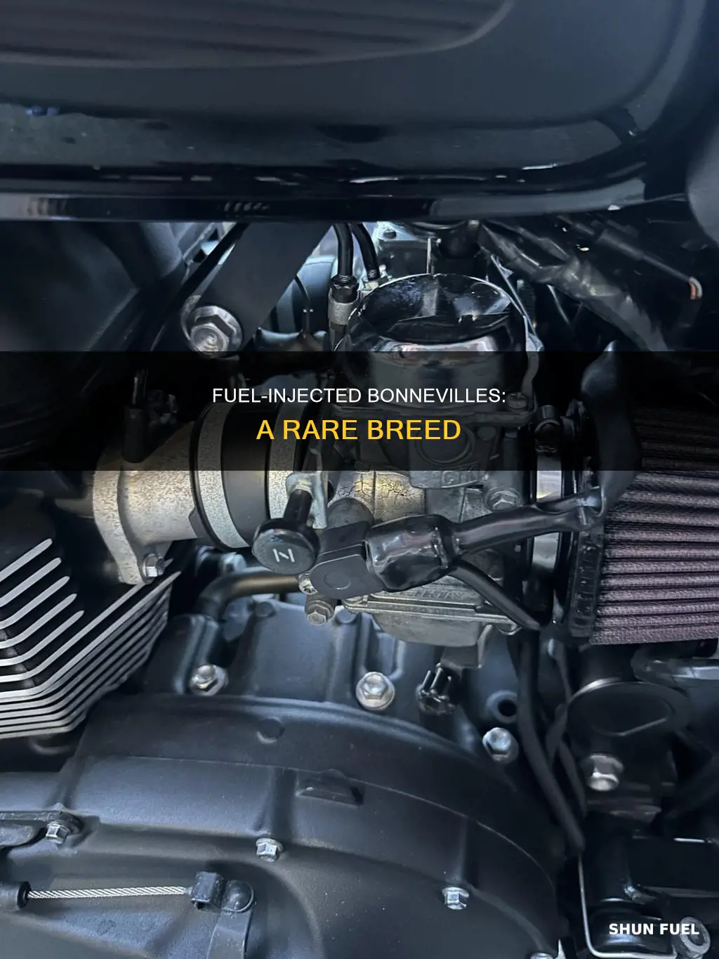 how many bonneville fuel injected cars were made
