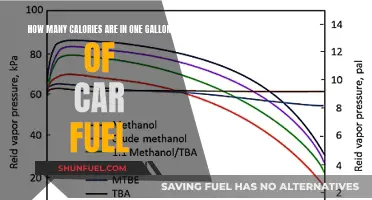 Unveiling the Calorie Count: One Gallon of Car Fuel