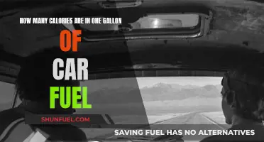 Car Fuel Calories: How Much Energy in a Gallon?