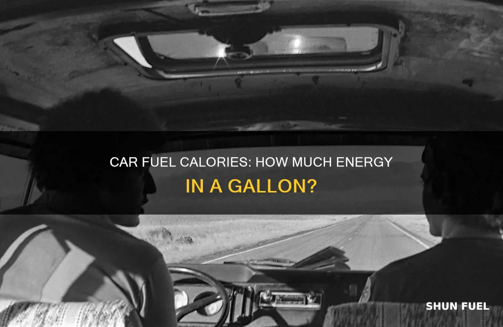 how many calories are in one gallon of car fuel