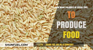 Fossil Fuel Calories: The Hidden Energy Cost of Food Production