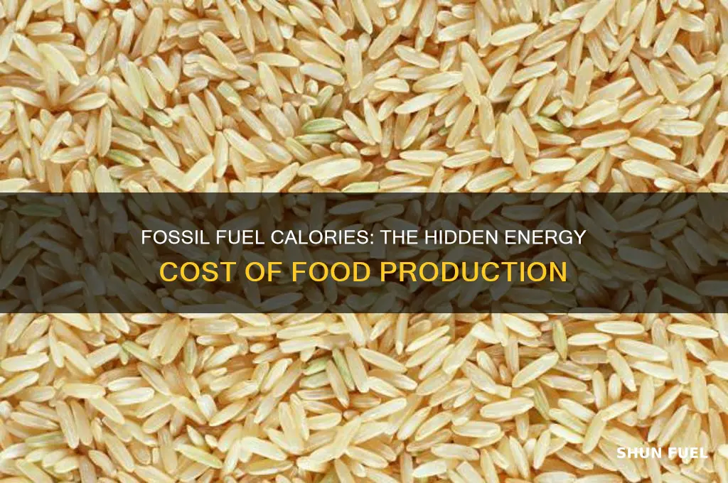 how many calories of fossil fuel to produce food