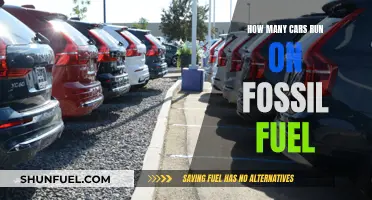 Cars Running on Fossil Fuels: How Many?