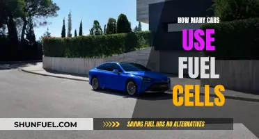 Fuel-Cell Cars: How Many Are on the Roads?