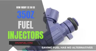Fuel Injector Facts: CC Volume in 03 350Z Models