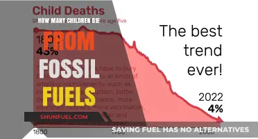 Fossil Fuels' Deadly Impact: Child Mortality Rates and Air Pollution