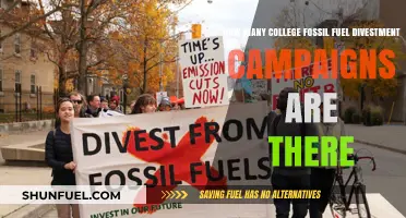 Tracking the Rise of College Fossil Fuel Divestment Campaigns Nationwide
