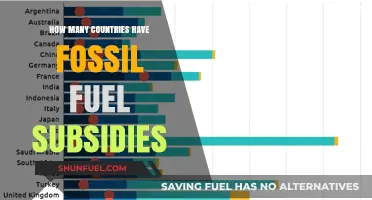 Global Fossil Fuel Subsidies: How Many Countries Still Support Them?